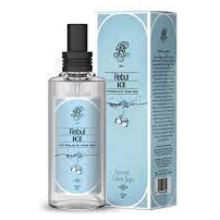 Rebul Ice Spr 100 Ml