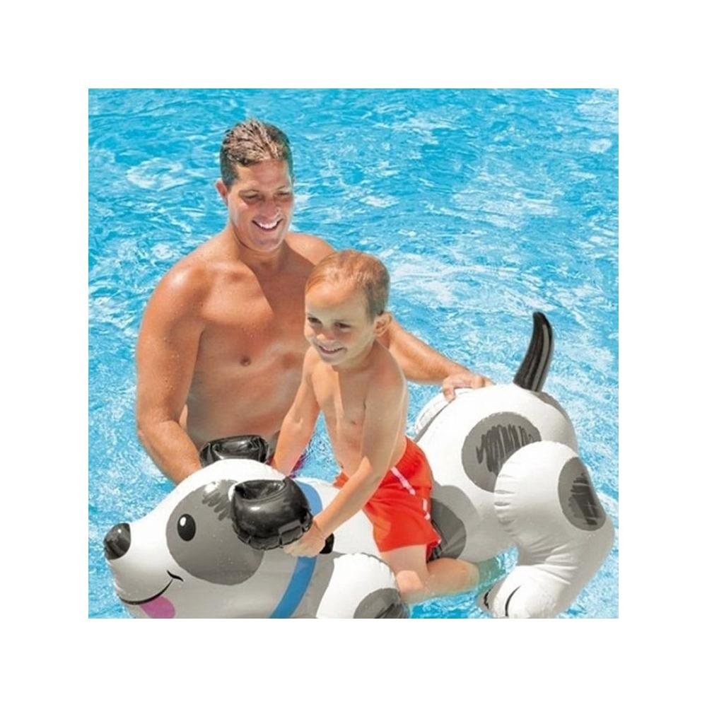 7521 Kopek Bınıcı 108x71cm