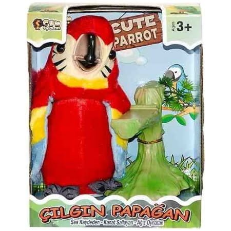 Kutulu Pi̇lli̇ çilgin Papağan Yy199002