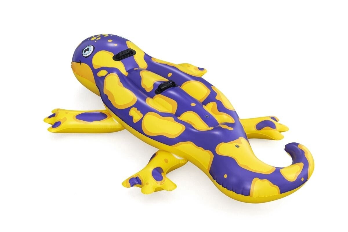 41502 KERTENKELE 191*119 CM 8